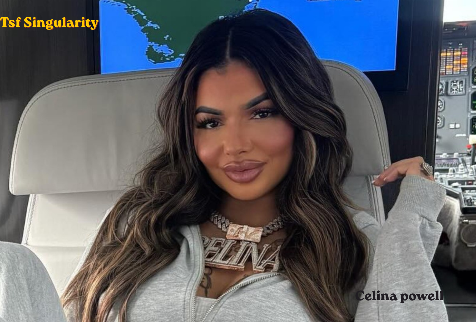 Celina Powell: Biography, Career, Social Media and Controversies